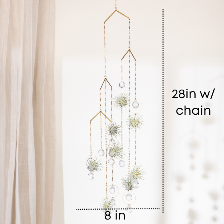 "Bijoux de Maison" Large Hanging Air Plant Holder Mobile