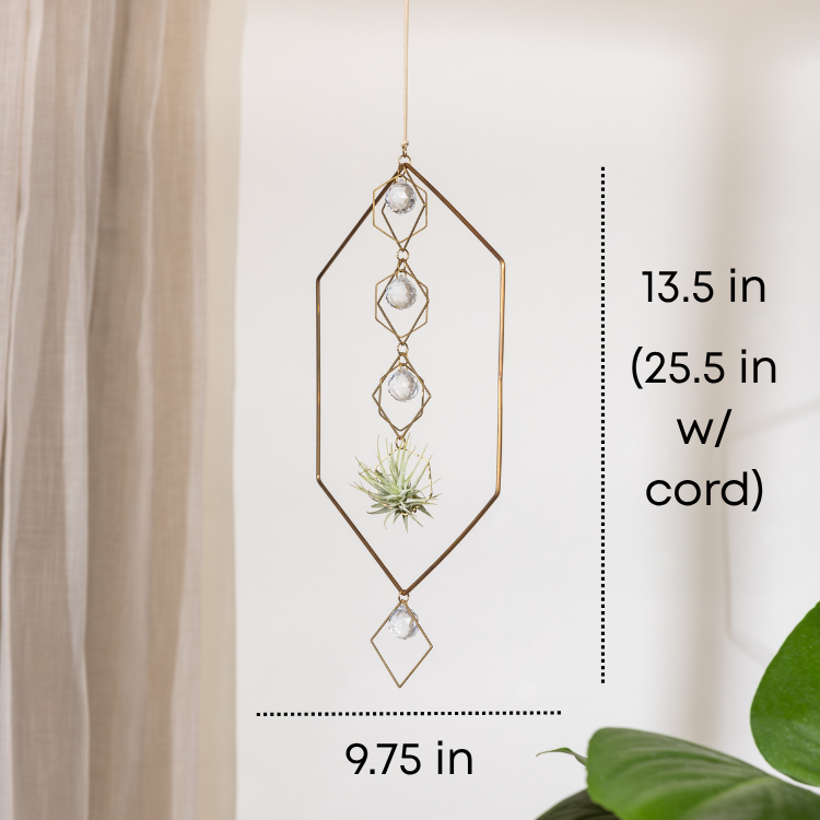 "Bijoux de Maison" Cascading Crystal Hexagon Air Plant Holder
