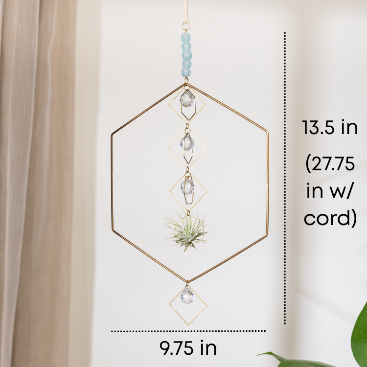 "Bijoux de Maison" Sea Glass and Cascading Crystal Hexagon Air Plant Holder