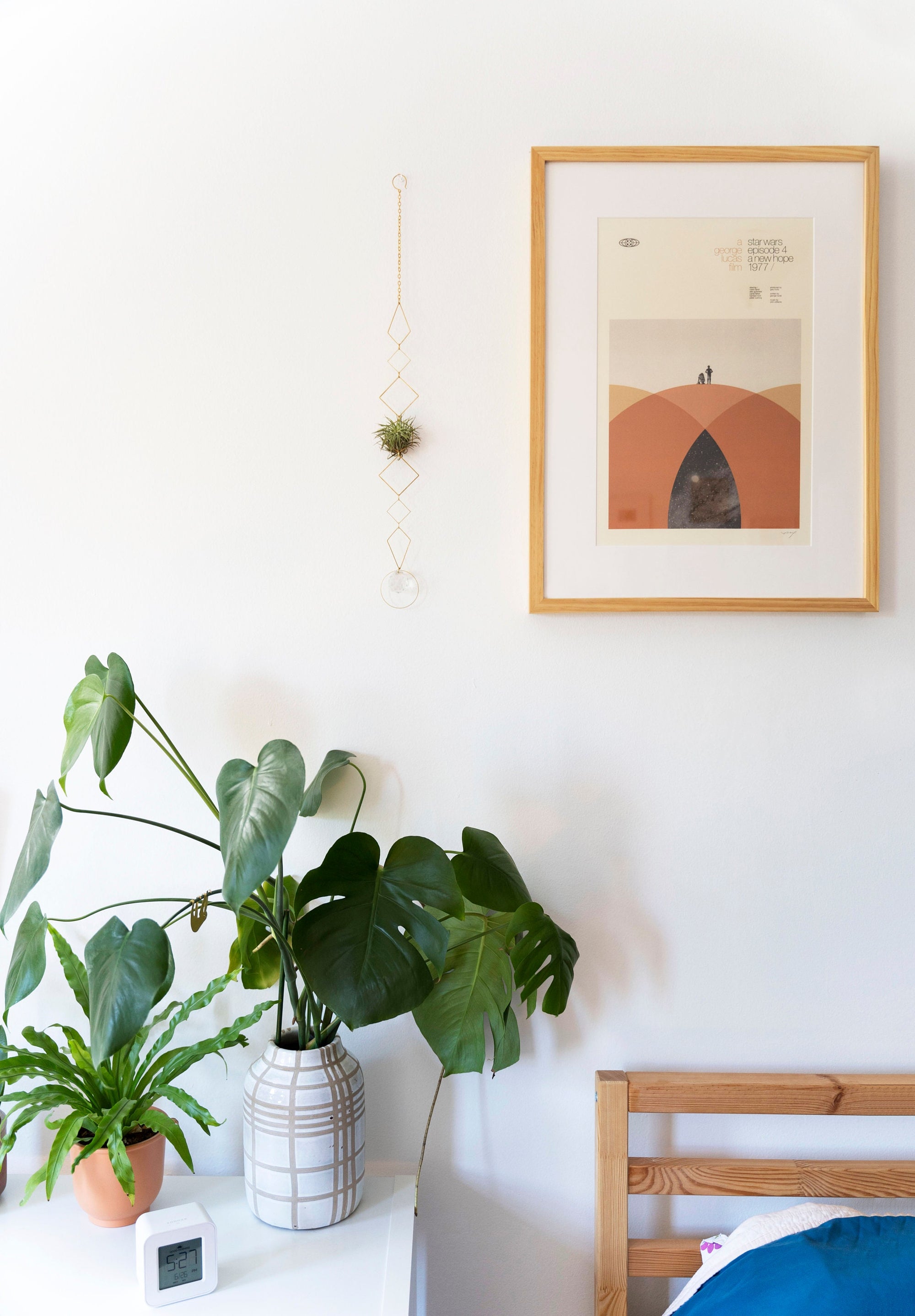 air plant display frame Bijoux de Maison" Vert Air Plant Display - II