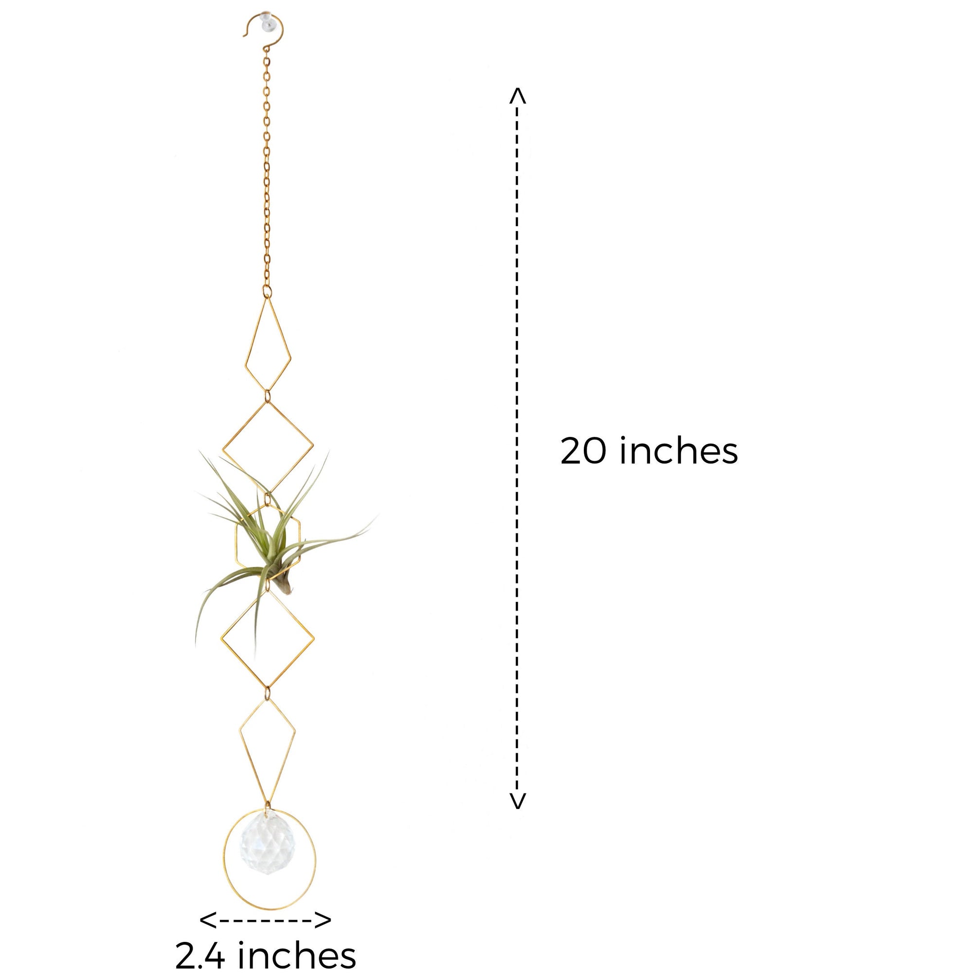 vertical air plant display "Bijoux de Maison" Vert Air Plant Display