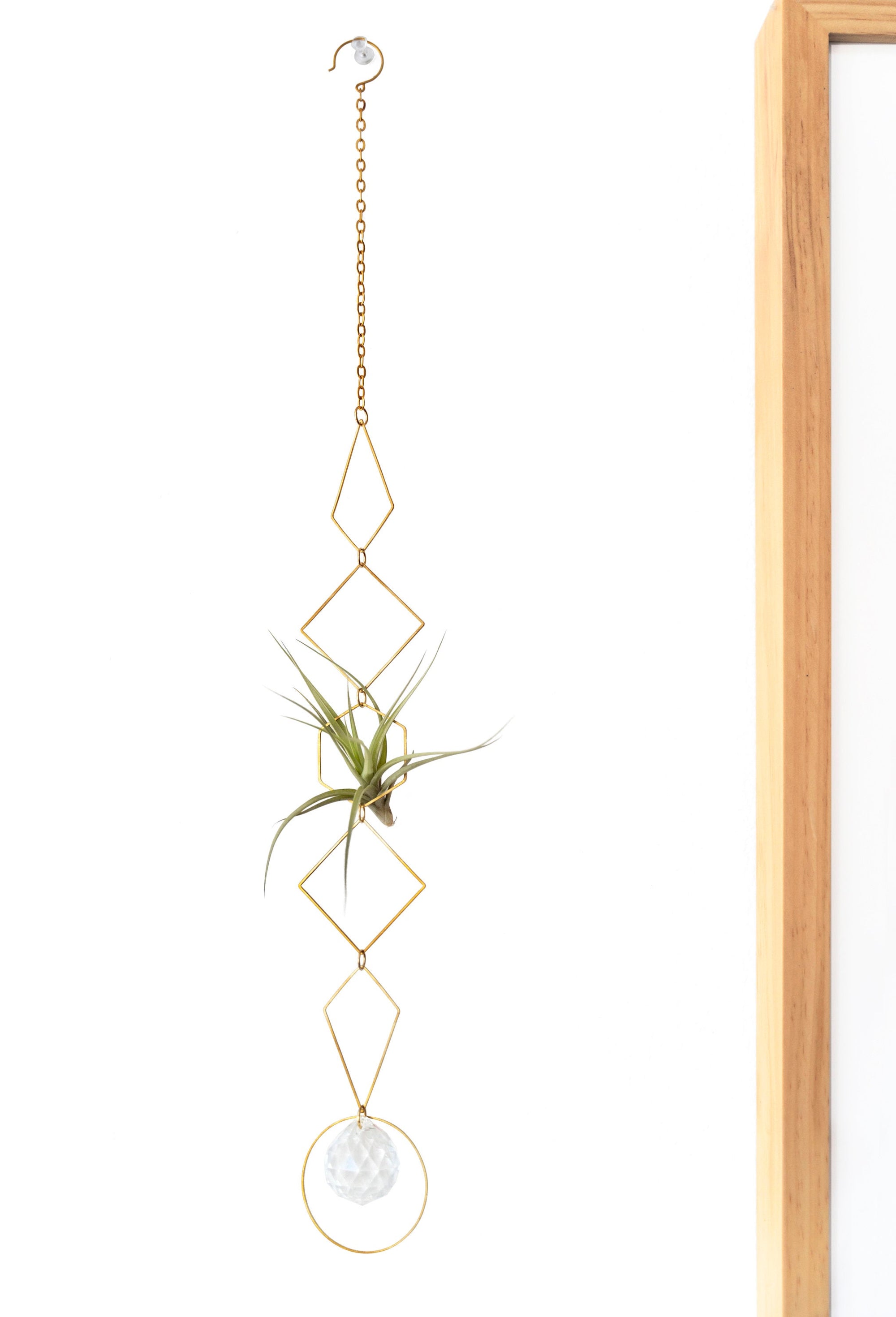 geometric air plant Bijoux de Maison" Vert Air Plant Display - I