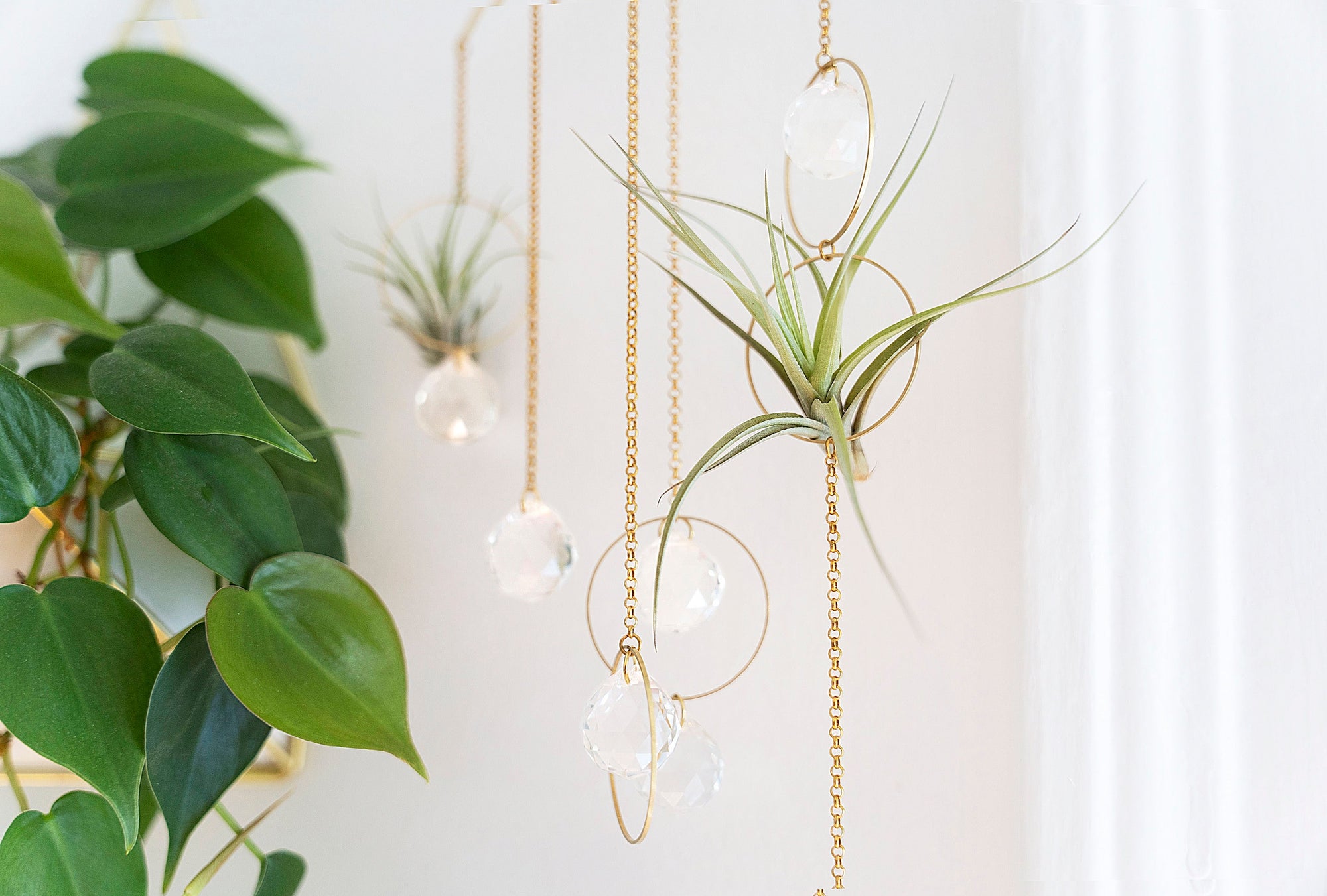 hanging plant phone case Bijoux de Maison" Hanging Air Plant Holder Mobile