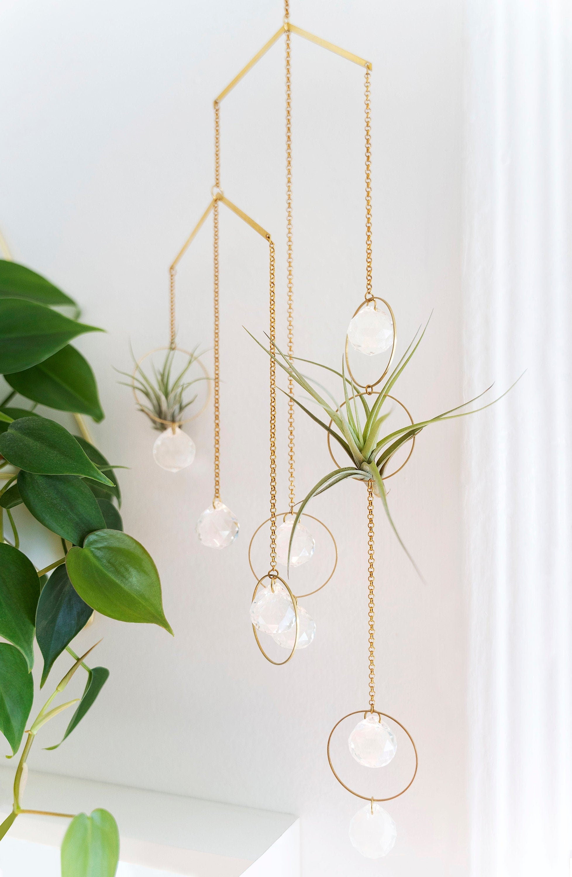 air plant necklace "Bijoux de Maison" Hanging Air Plant Mobile