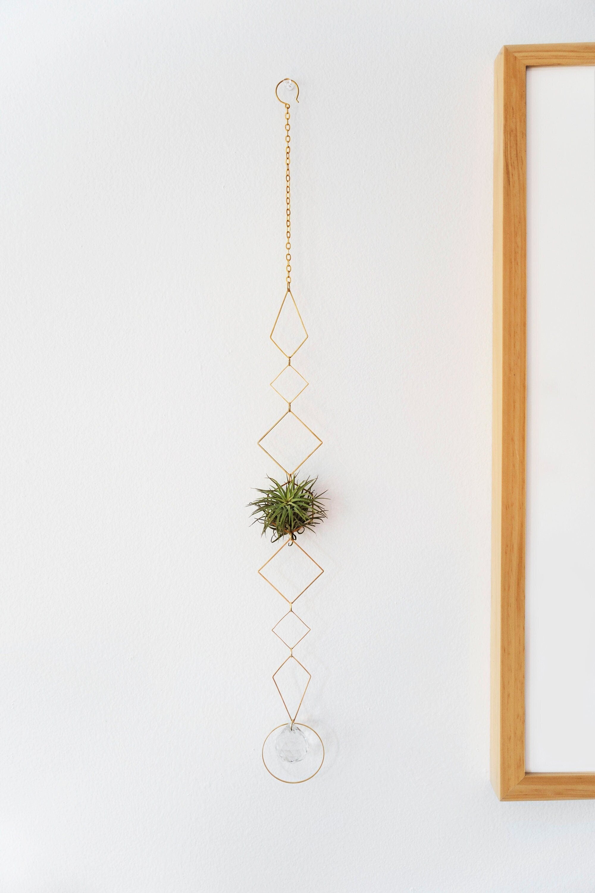 air plant wall hanger Bijoux de Maison" Vert Air Plant Display - II