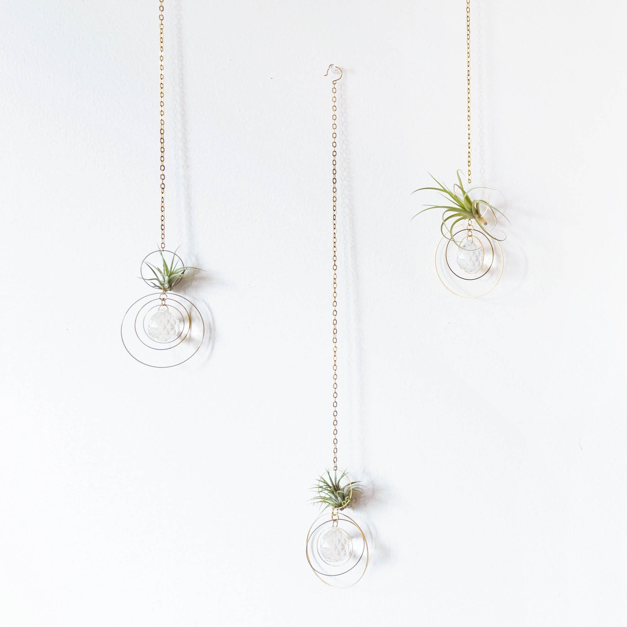 air plant jewelry "Bijoux de Maison" Orbital Hanging Air Plant Holder with Prism