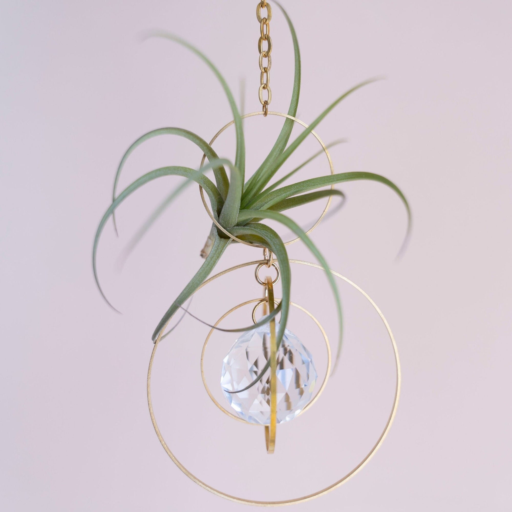 wire hanging plant holders Bijoux de Maison" Orbital Hanging Air Plant Holder with Prism