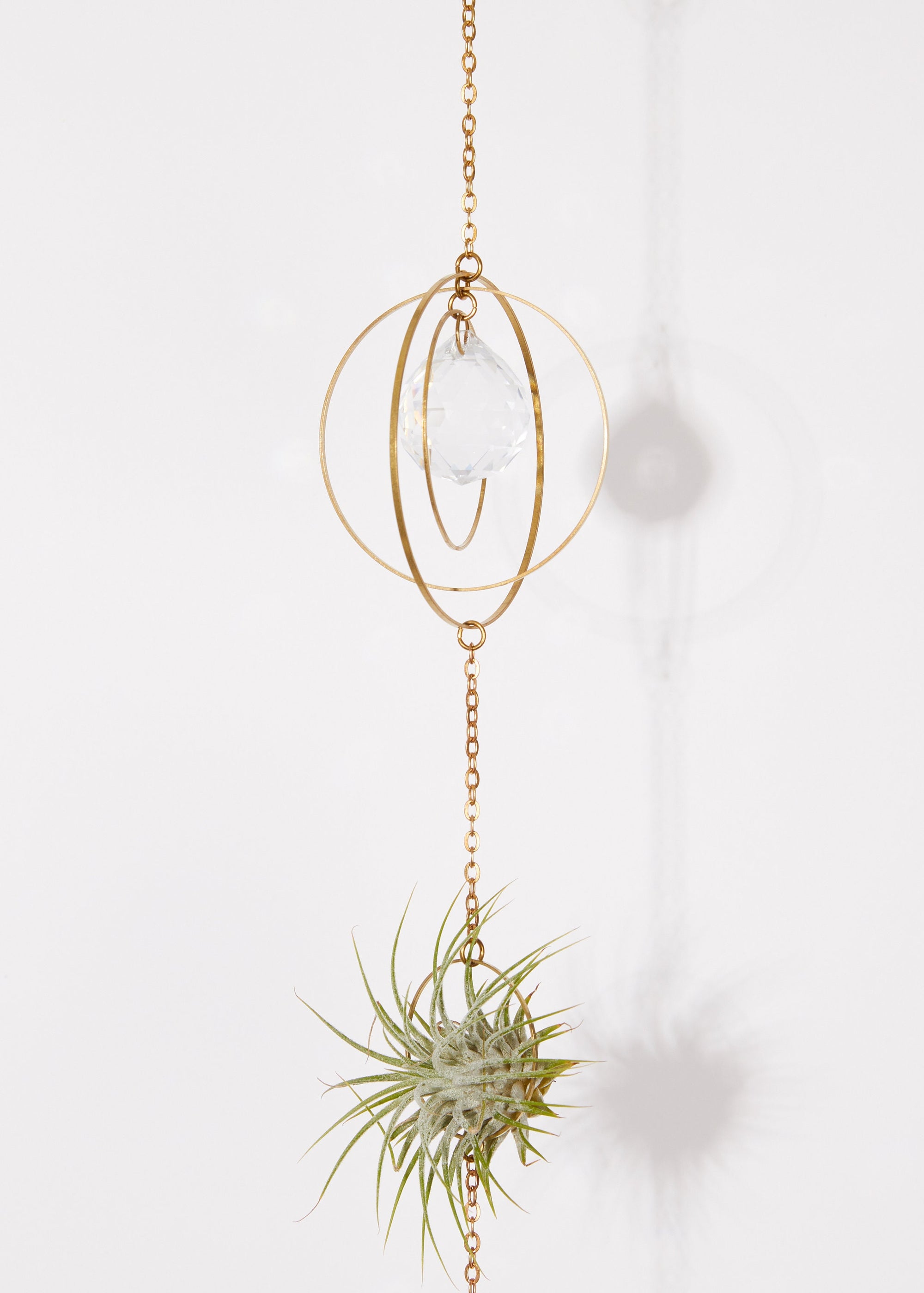 air plant pendant Bijoux de Maison" Hanging Air Plant Holder Chain