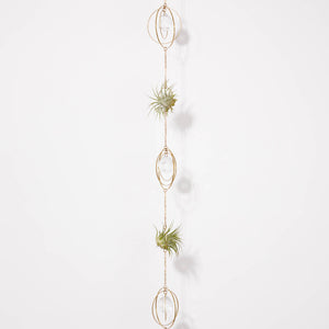 air plant jewelry Bijoux de Maison" Hanging Air Plant Holder Chain