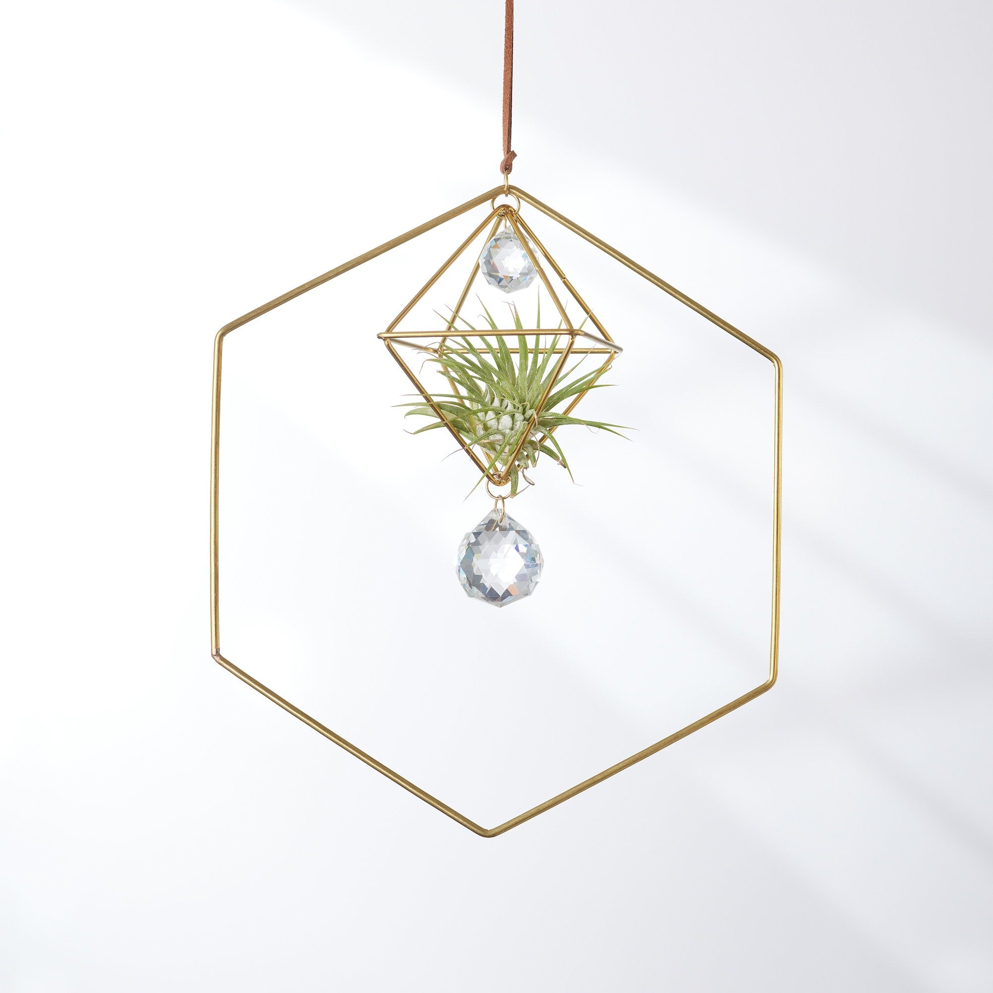 geometric air plant hanger Bijoux de Maison" Petite Hanging Air Plant Holder Hexagon with Prism
